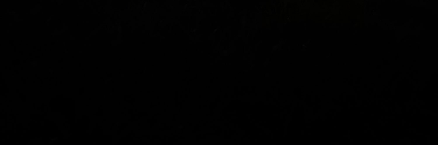 msallesf's profile banner image