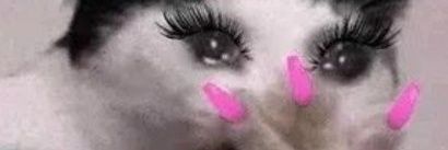 hmmNoMaybeYes's profile banner image