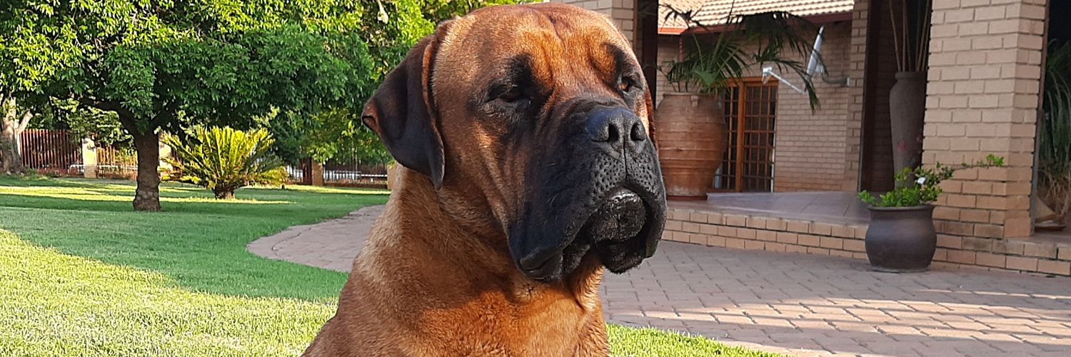 susnetta2's profile banner image