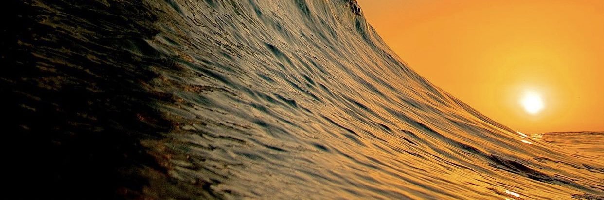 Francesca Manzini banner