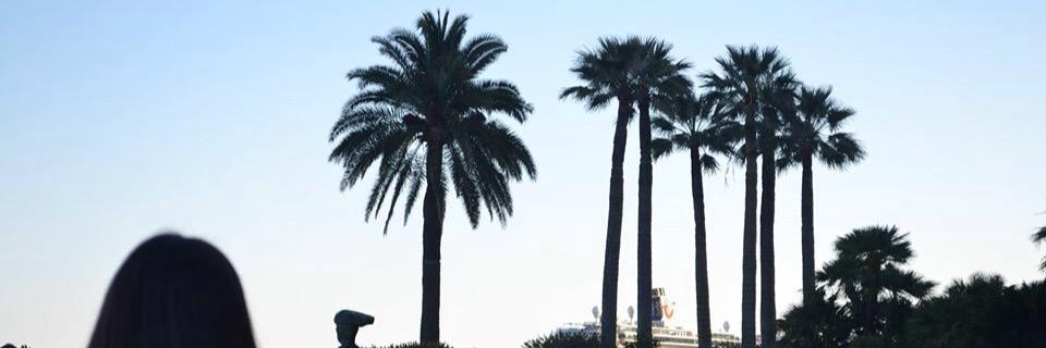 SolPoceiro's profile banner image