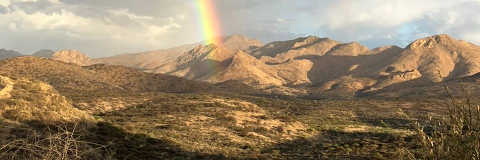 ITamaloII's profile banner image