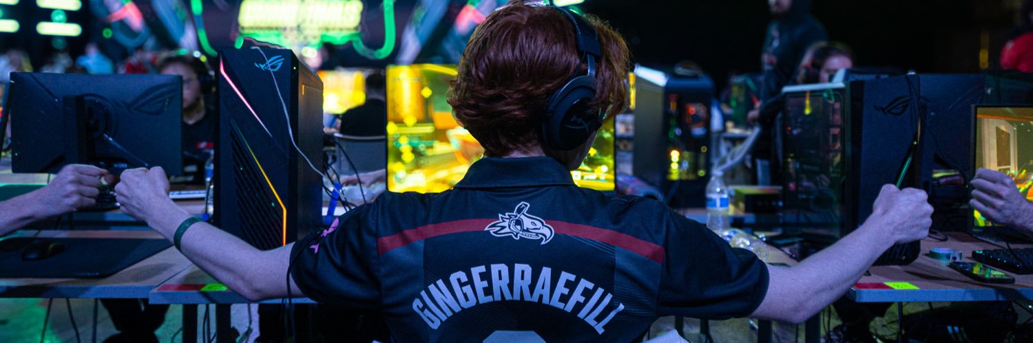 GingerRæfill's banner