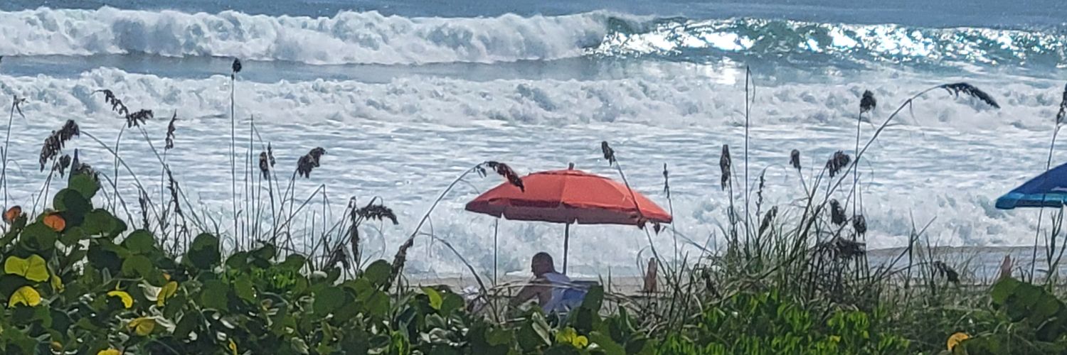 SunnyDays🩵💛🩵🇺🇦 banner