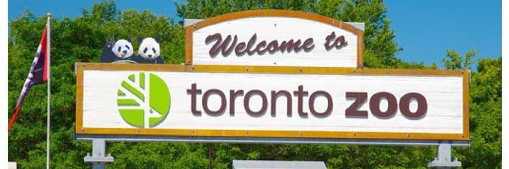 Dev Bear - 🦀/acc banner