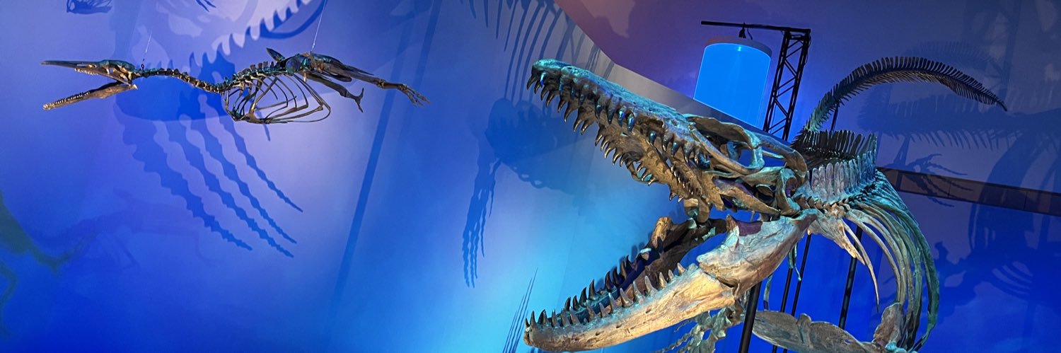 hane_gel's profile banner image
