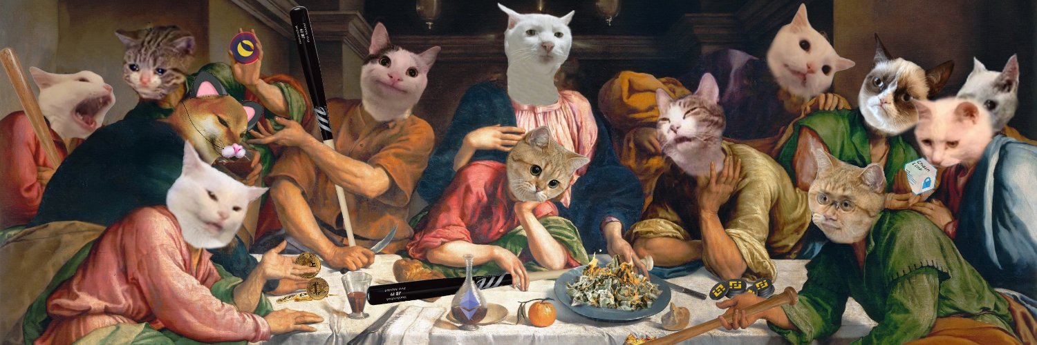 CatBonk banner