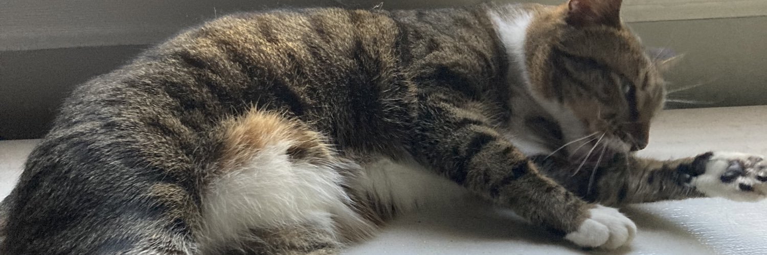 catelyn tully’s controversially young wife banner