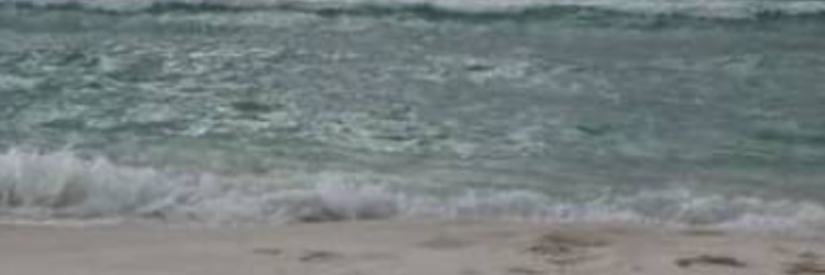 Kathryn Hoover Brock banner