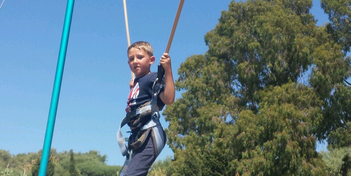 Julie Fielding banner