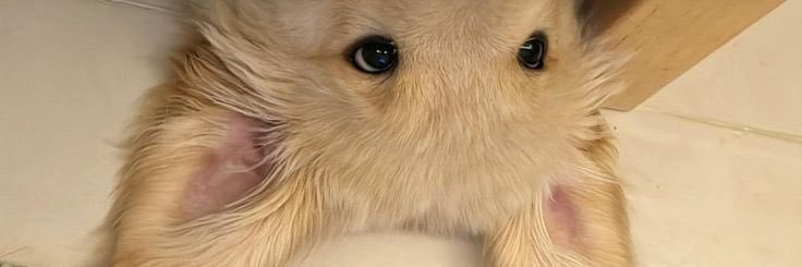 Mayylynne's profile banner image