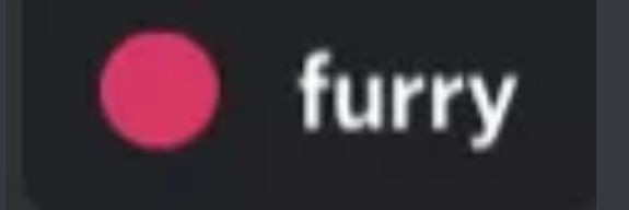 BluFox banner