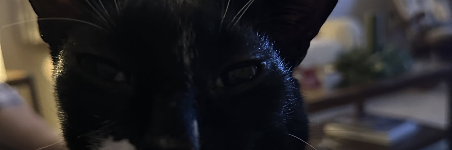wyattnelson9's profile banner image