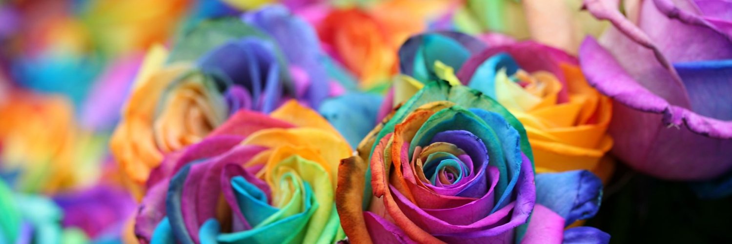 aelx854's profile banner image
