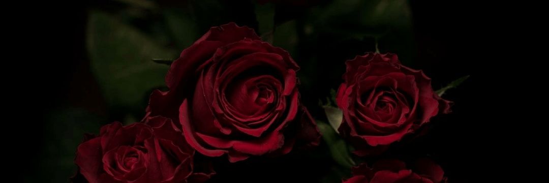 _va_nes_sa_'s profile banner image