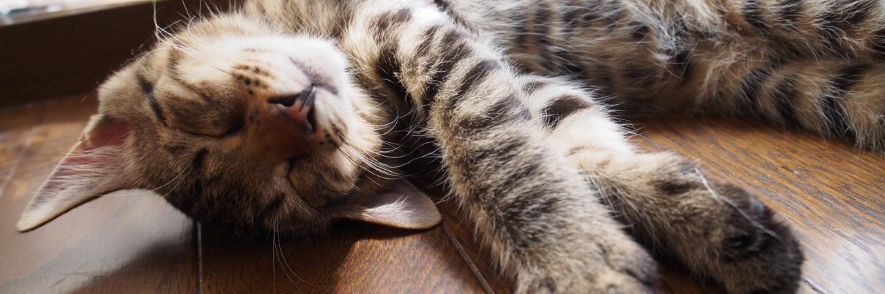 へし折れ葛見 banner