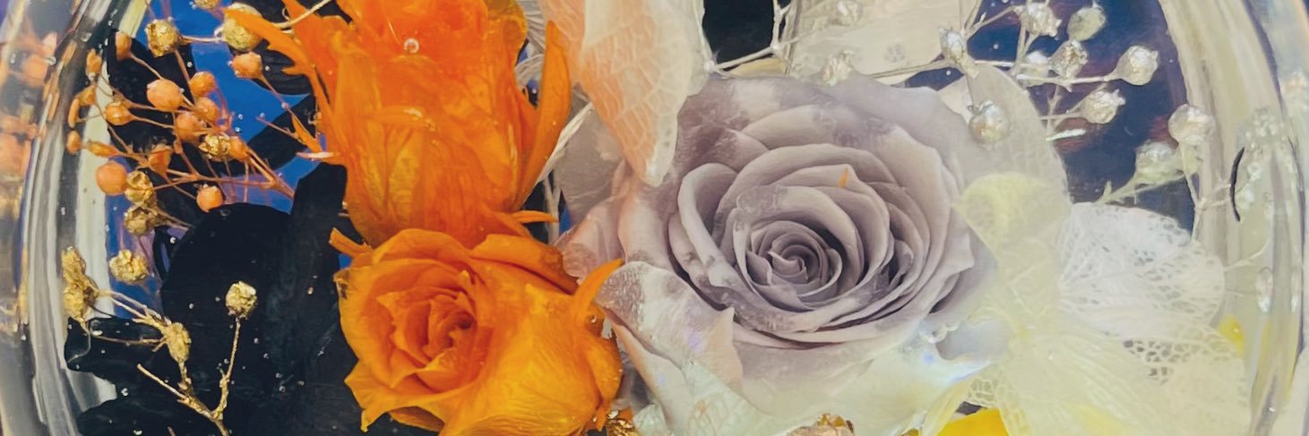 アロN✳️ banner
