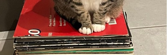 tumvoid's profile banner image
