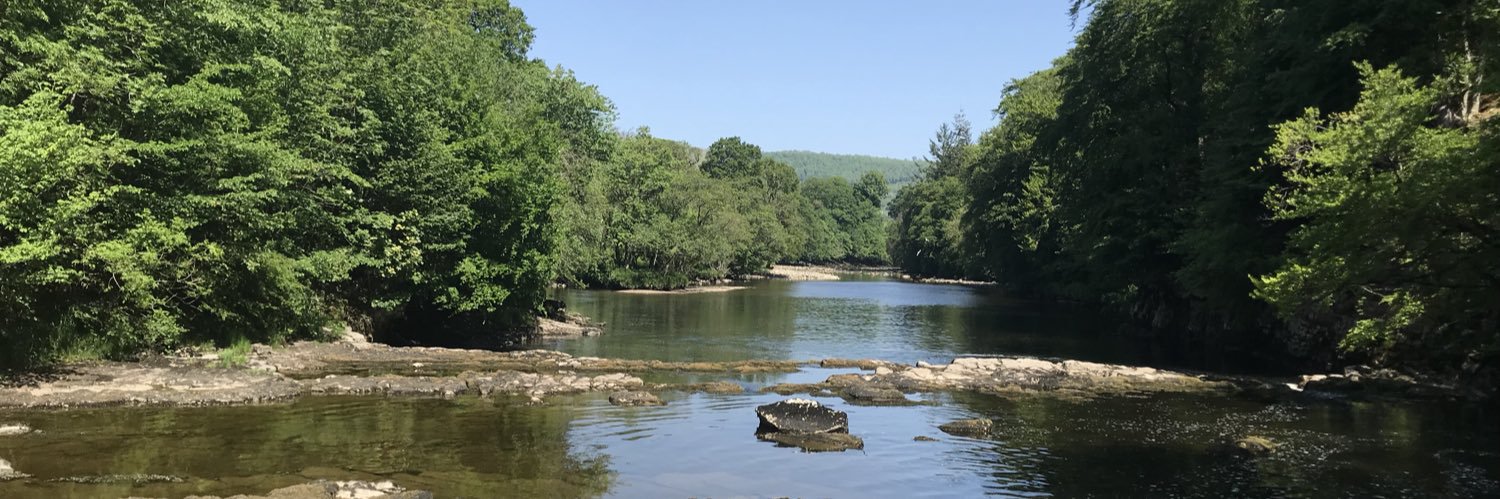 Prof Eleanor Scott banner