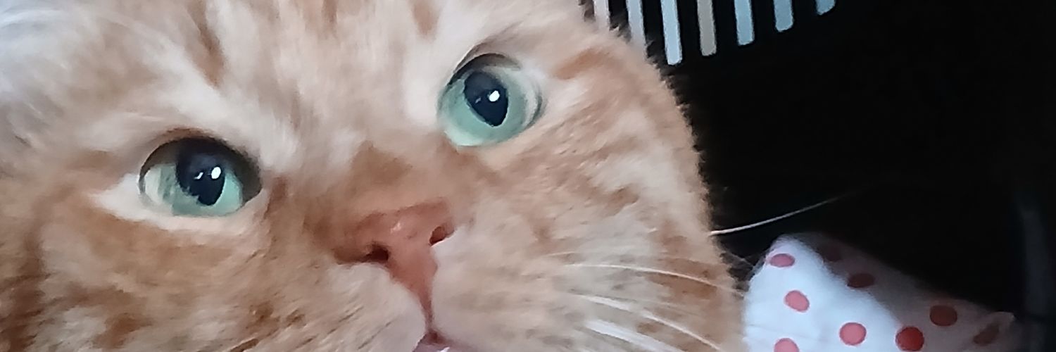 tuncel19's profile banner image