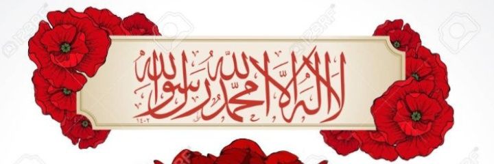 Amal Fatima banner