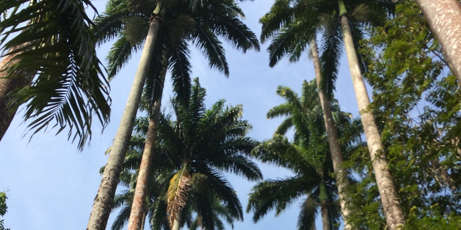 yassojos's profile banner image