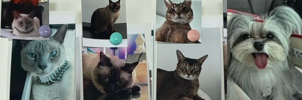 olalacool Profile Banner