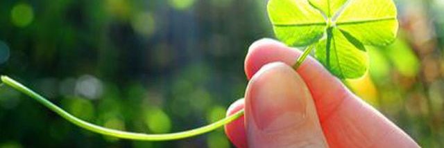 AndrewKata - Editor banner