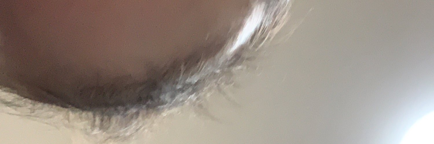 rachelaizer's profile banner image