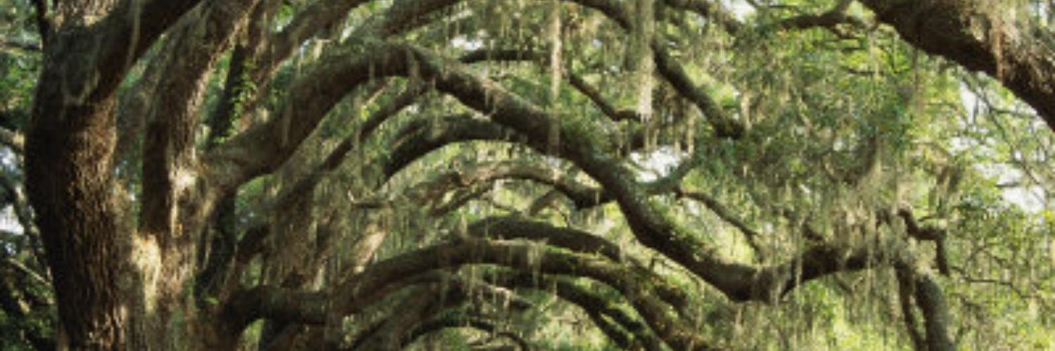 Jeremiahf76's profile banner image