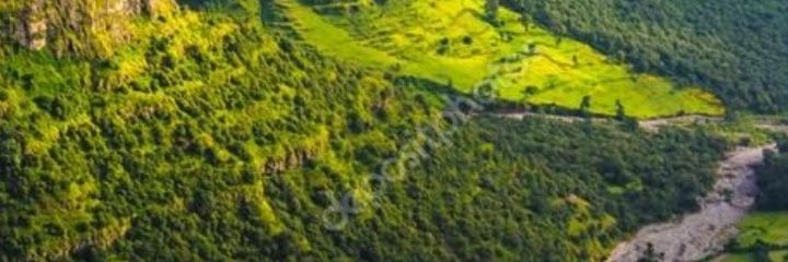 Trihas Gebre banner