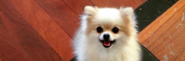พักก่อนlll🍅 banner
