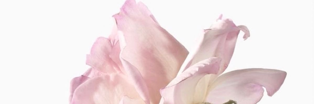 ౨ৎ banner