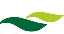 midori_env's profile banner image