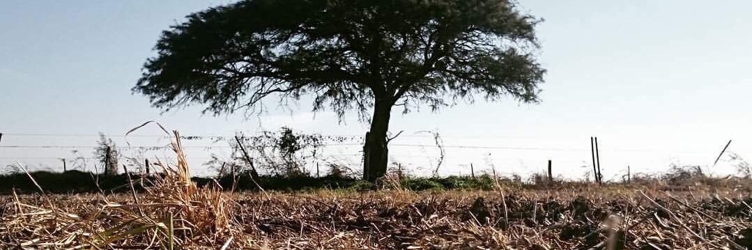 JimeFioni's profile banner image