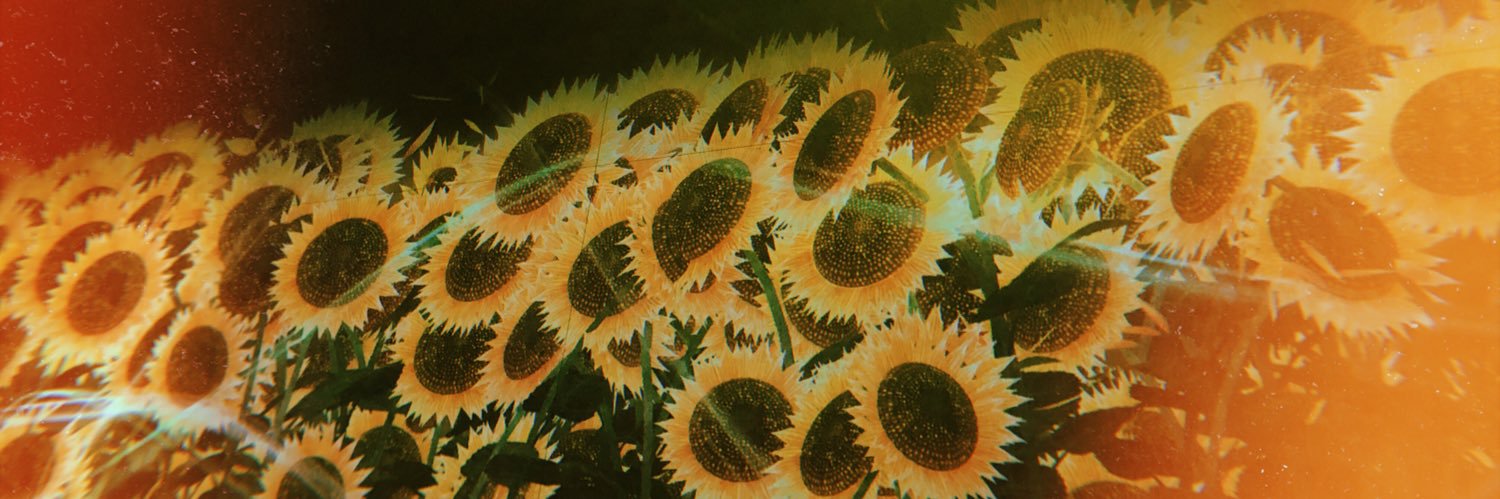 itsuko135's profile banner image