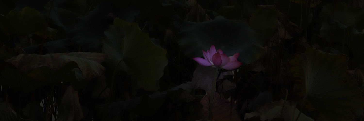 CY102000's profile banner image