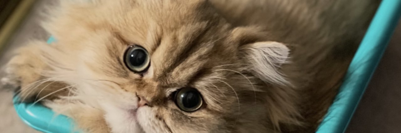 Pease banner