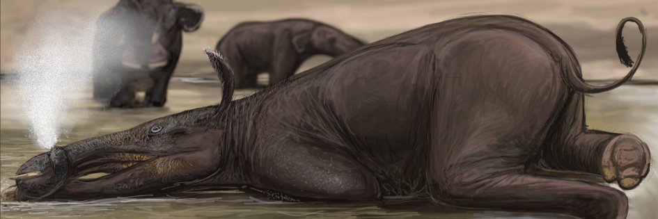 Shunovachrono's banner
