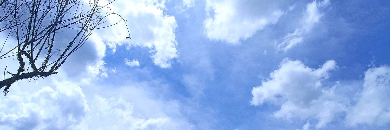 Sarahdhecil_'s profile banner image