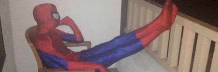 spidersow's profile banner image
