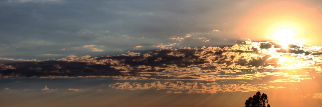 lee57301's profile banner image