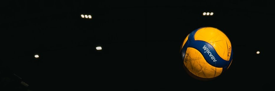 animolees's profile banner image