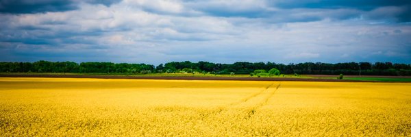 viborc Profile Banner