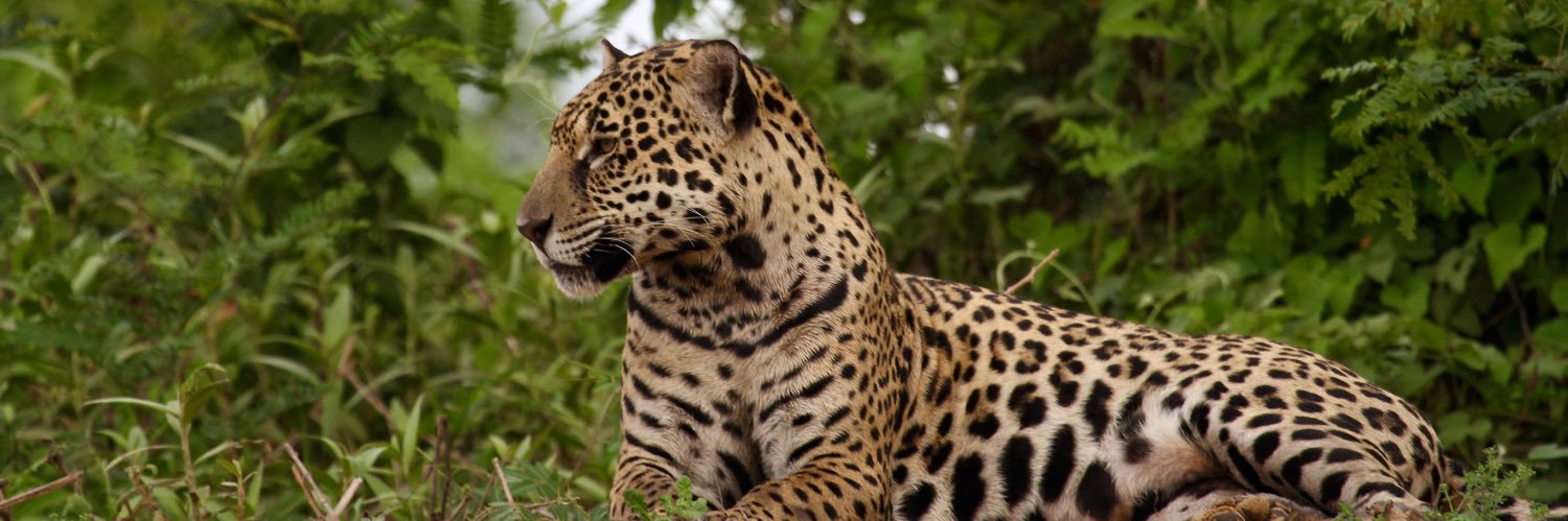 jmb35t's profile banner image