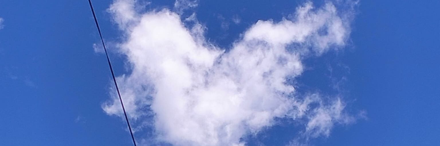 roseeeflores's profile banner image