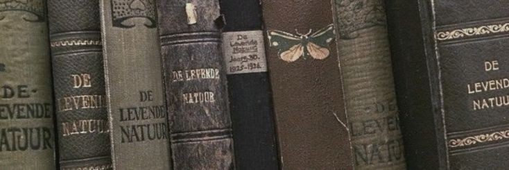 gr6nger's profile banner image