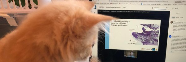 LexisHLy Profile Banner