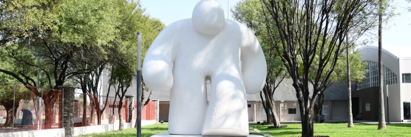 monos monos y más monos banner