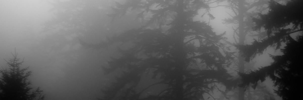 . banner